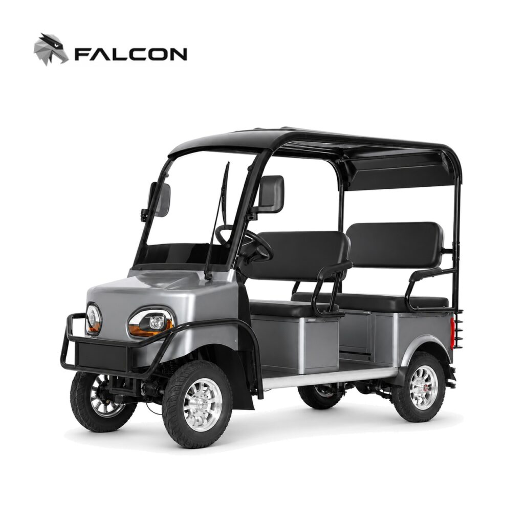 Electric Golf Cart GG-DP006